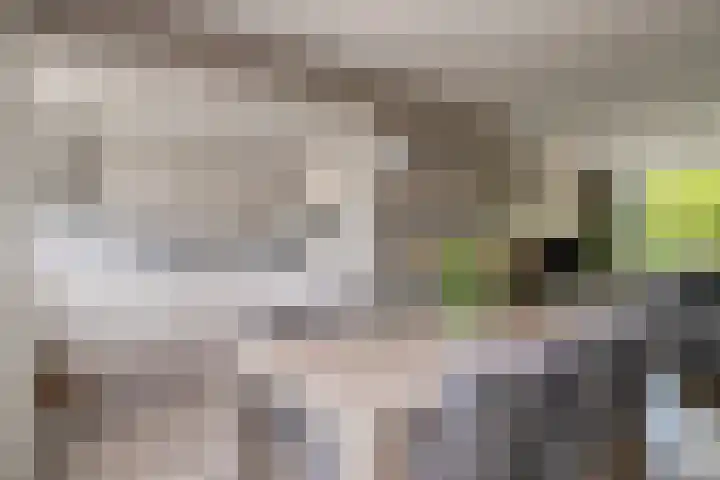 Poelekes 25 Halsteren thumbnail 9