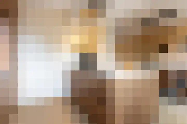 Poelekes 27 Halsteren thumbnail 10