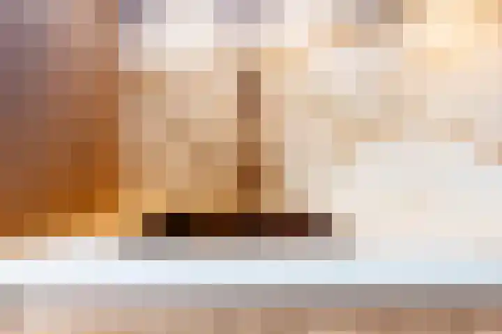 Poelekes 27 Halsteren thumbnail 11