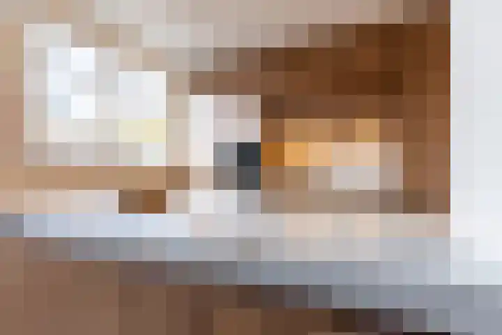 Poelekes 27 Halsteren thumbnail 12