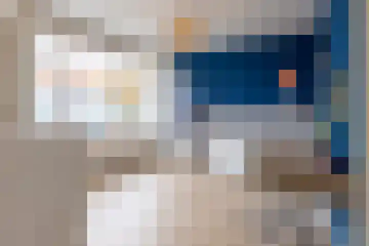 Poelekes 27 Halsteren thumbnail 13