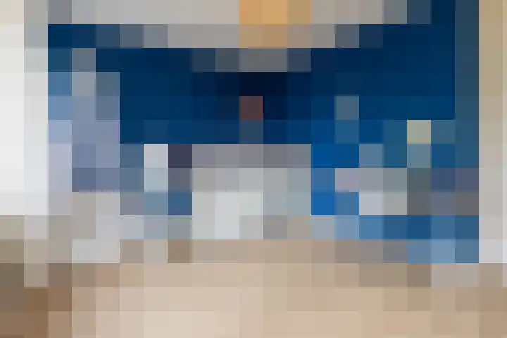 Poelekes 27 Halsteren thumbnail 14