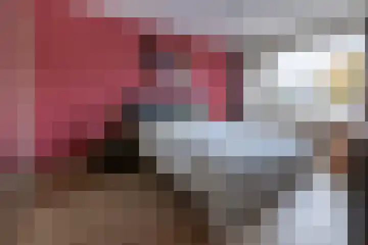 Poelekes 27 Halsteren thumbnail 15