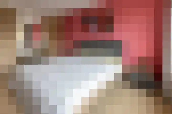 Poelekes 27 Halsteren thumbnail 16