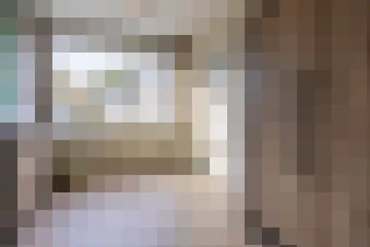 Poelekes 27 Halsteren thumbnail 17
