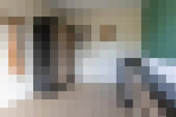 Poelekes 27 Halsteren thumbnail 18