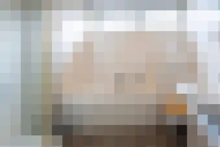 Poelekes 27 Halsteren thumbnail 19