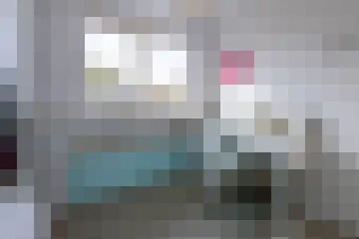 Poelekes 27 Halsteren thumbnail 22