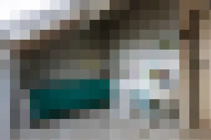 Poelekes 27 Halsteren thumbnail 23