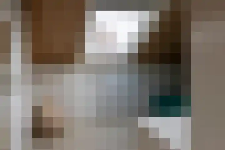 Poelekes 27 Halsteren thumbnail 24