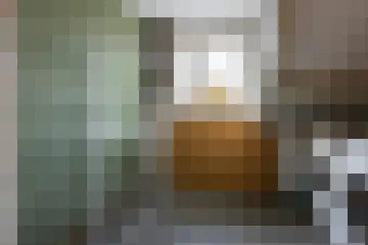 Poelekes 27 Halsteren thumbnail 25