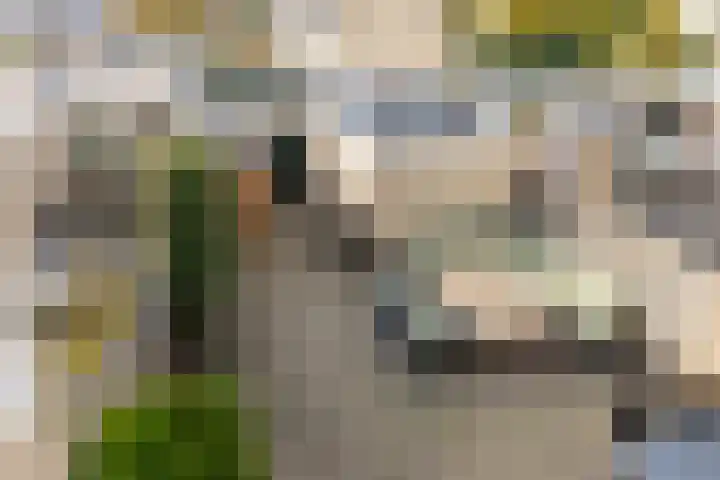 Poelekes 27 Halsteren thumbnail 29