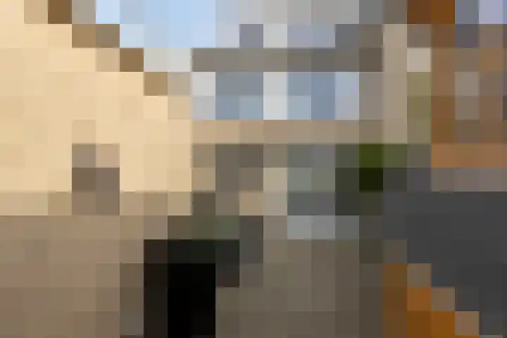 Poelekes 27 Halsteren thumbnail 30