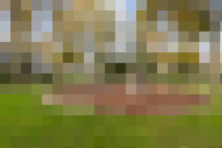 Poelekes 27 Halsteren thumbnail 36