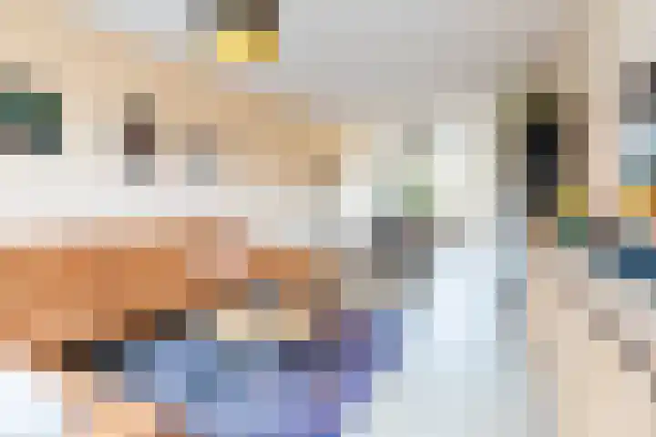 Poelekes 27 Halsteren thumbnail 6