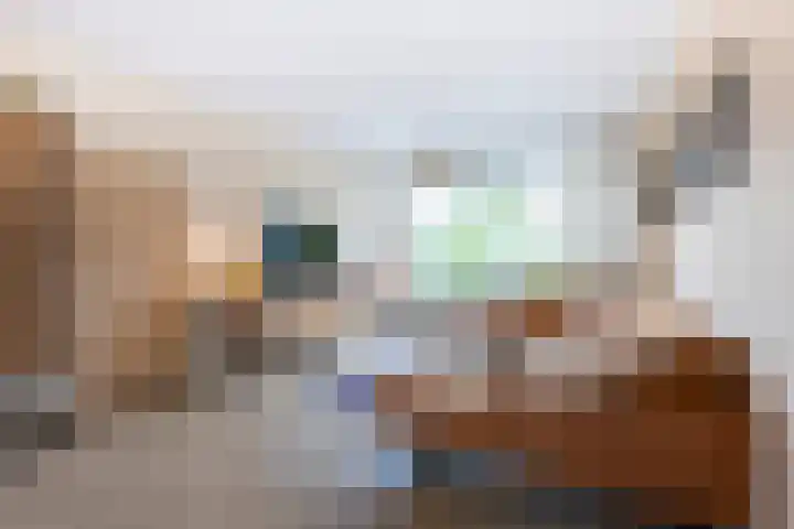 Poelekes 27 Halsteren thumbnail 9