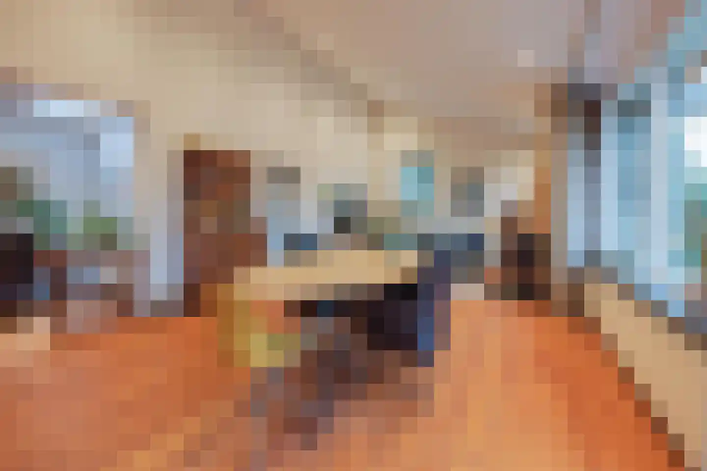 Poelenbosweg 3 Blitterswijck thumbnail 12