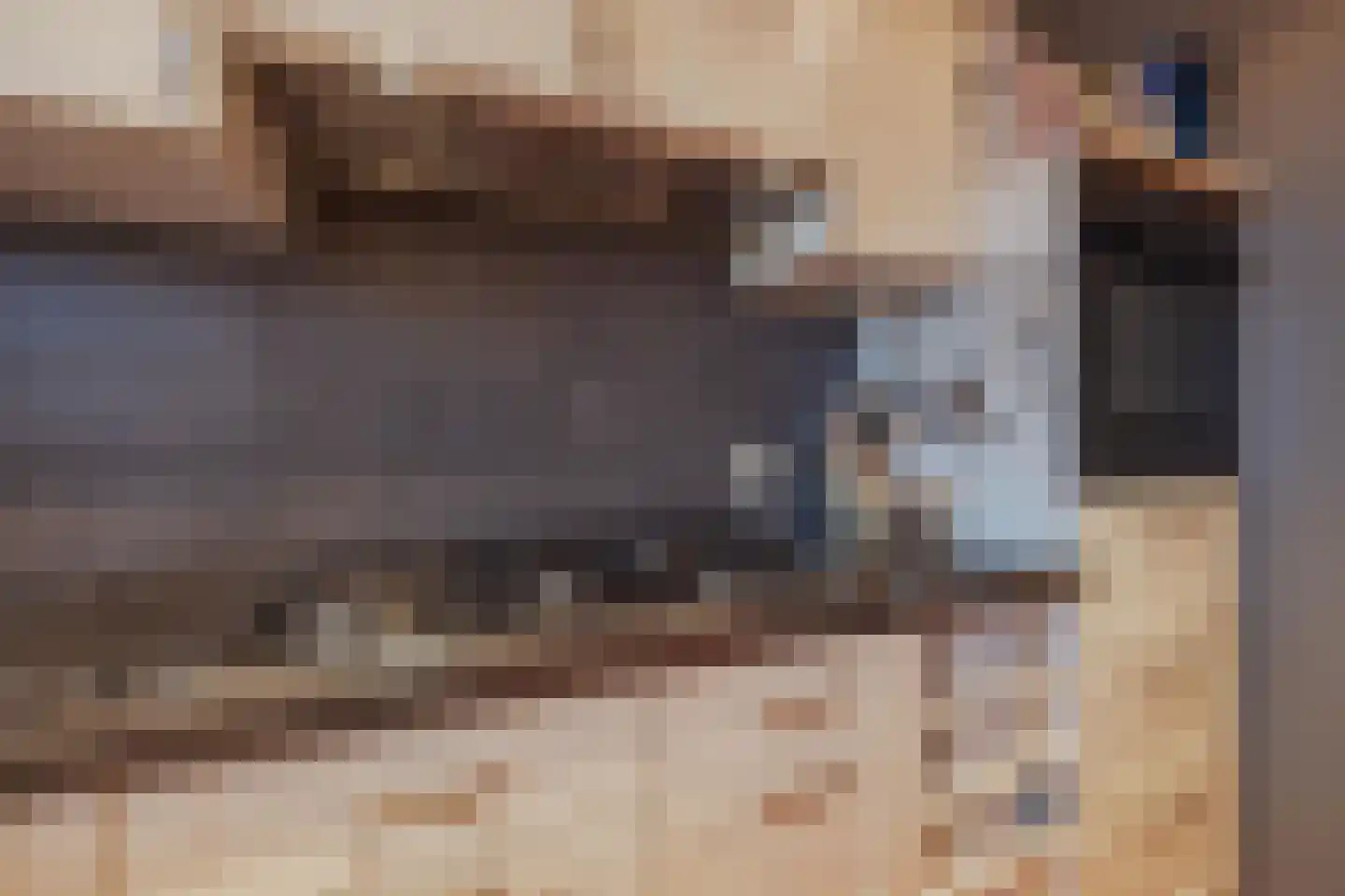 Poelenbosweg 3 Blitterswijck thumbnail 16