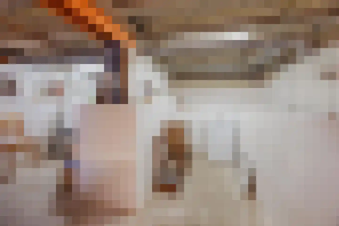Poelenbosweg 3 Blitterswijck thumbnail 33