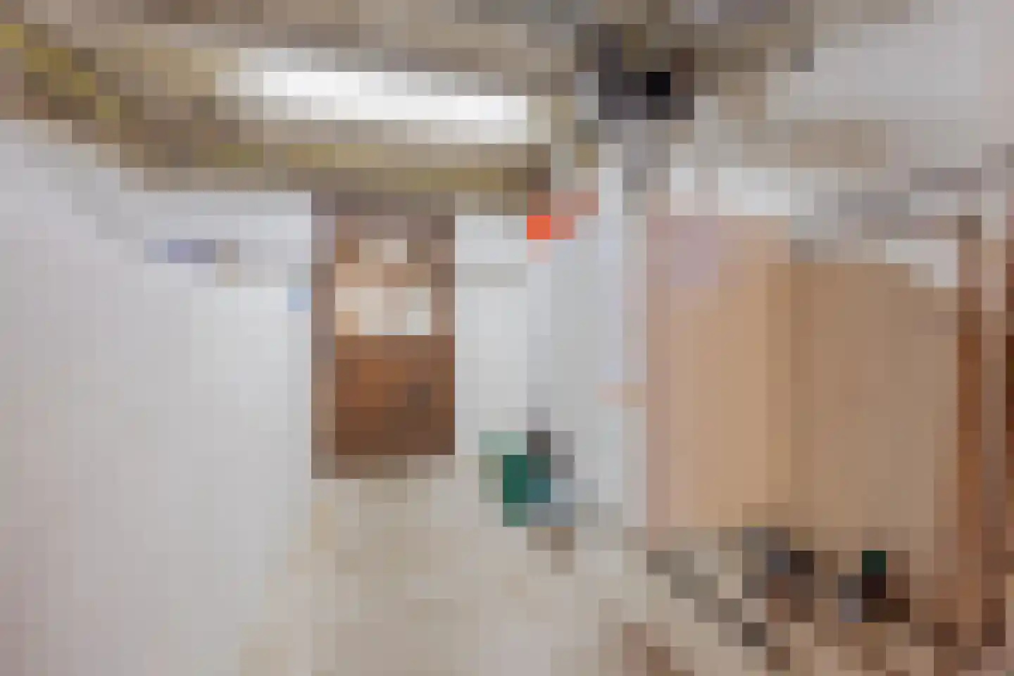 Poelenbosweg 3 Blitterswijck thumbnail 34