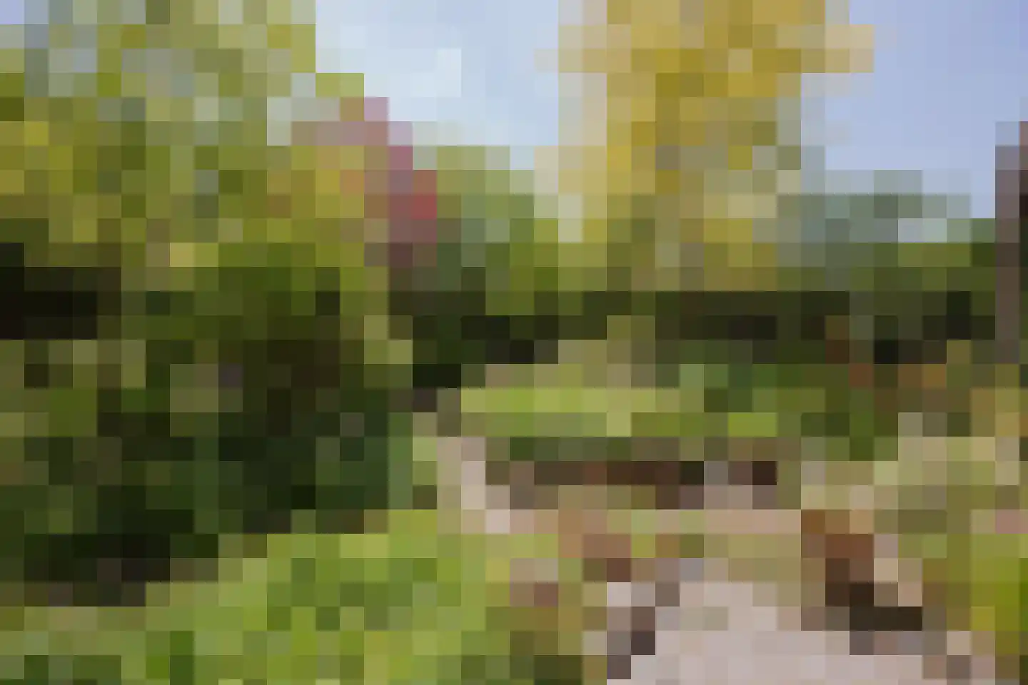 Poelenbosweg 3 Blitterswijck thumbnail 38