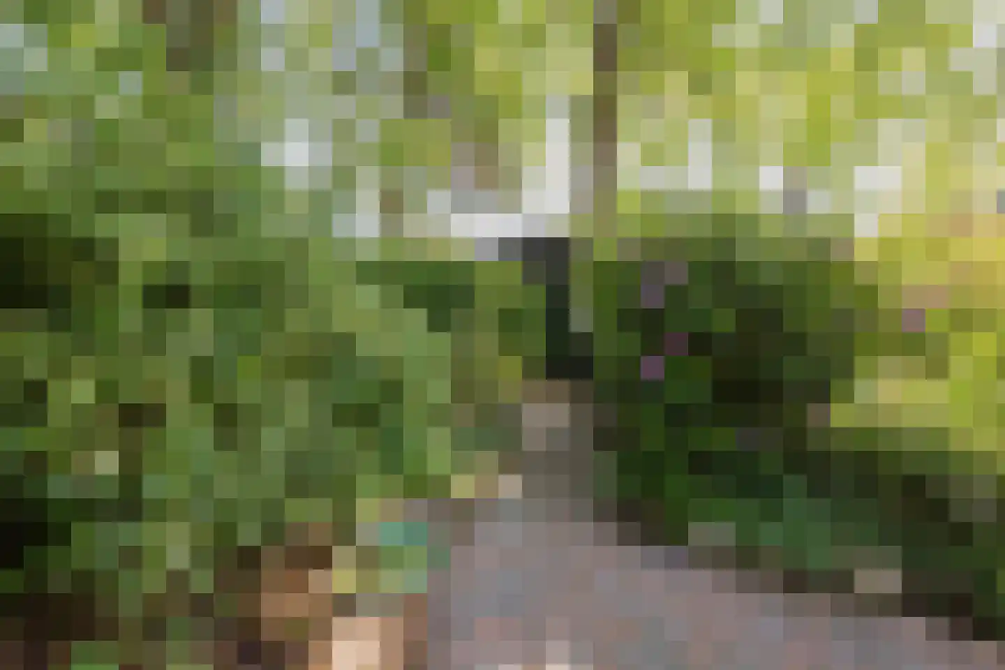 Poelenbosweg 3 Blitterswijck thumbnail 40