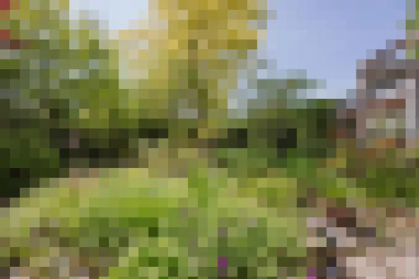 Poelenbosweg 3 Blitterswijck thumbnail 42