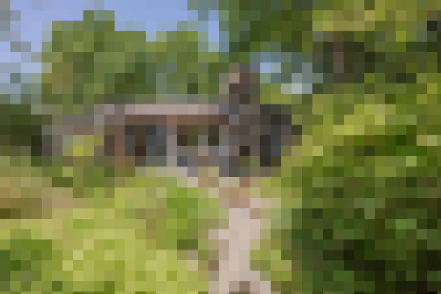 Poelenbosweg 3 Blitterswijck thumbnail 43