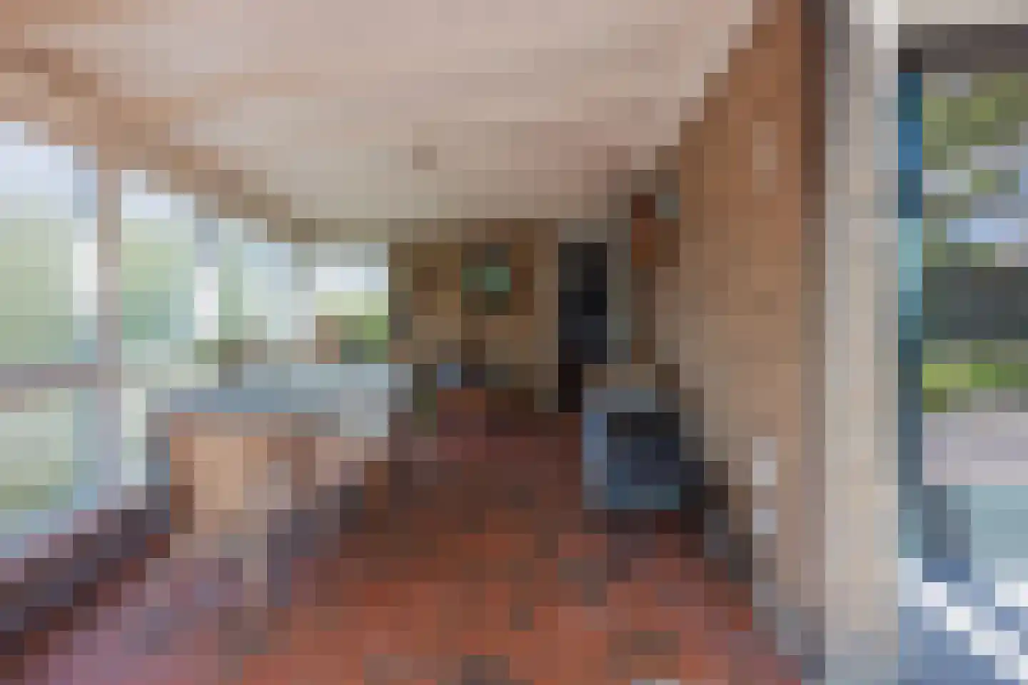 Poelenbosweg 3 Blitterswijck thumbnail 45