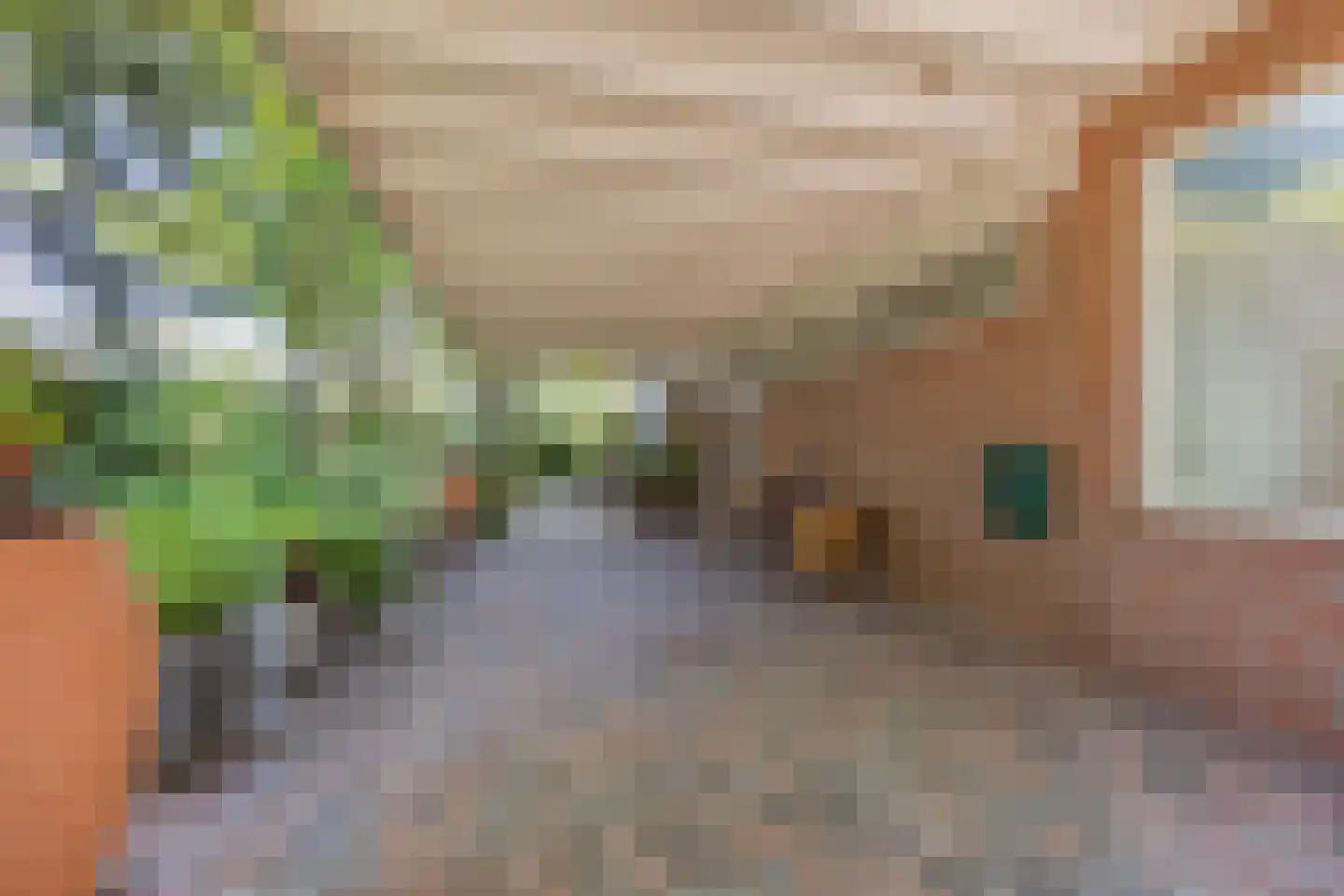 Poelenbosweg 3 Blitterswijck thumbnail 49