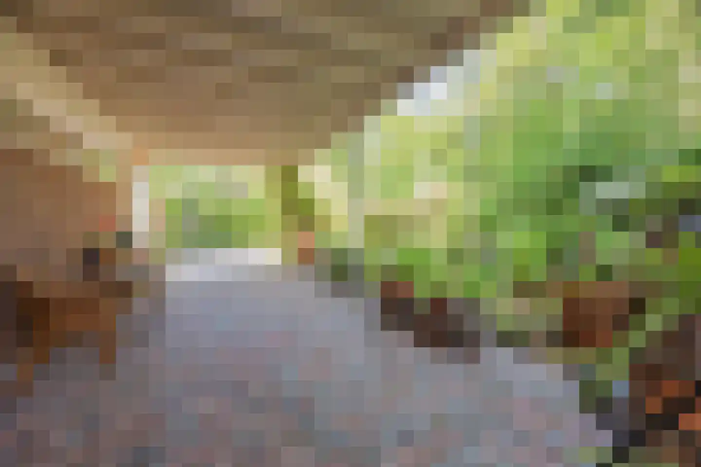 Poelenbosweg 3 Blitterswijck thumbnail 50