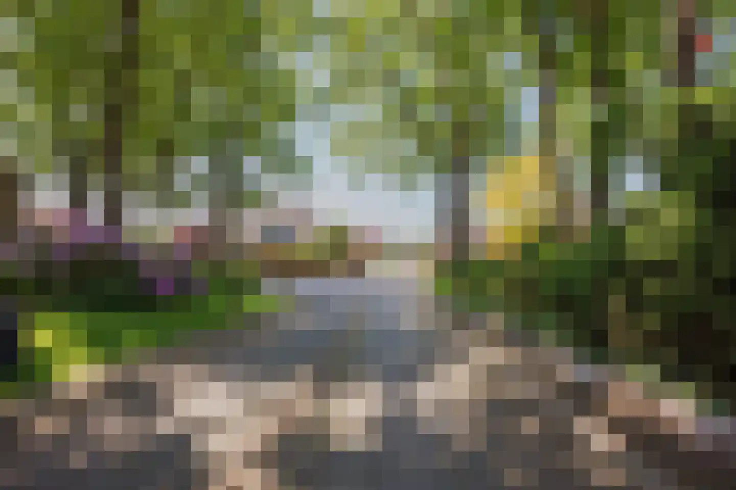 Poelenbosweg 3 Blitterswijck thumbnail 52
