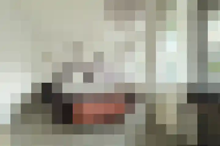 Poelenburg 14 Rotterdam thumbnail 16
