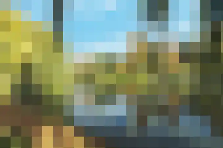 Poelenburg 14 Rotterdam thumbnail 33