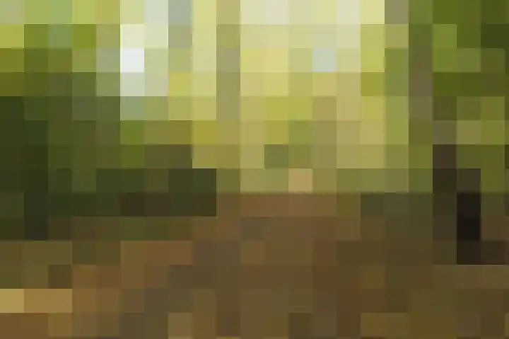 Poelenburg 14 Rotterdam thumbnail 5