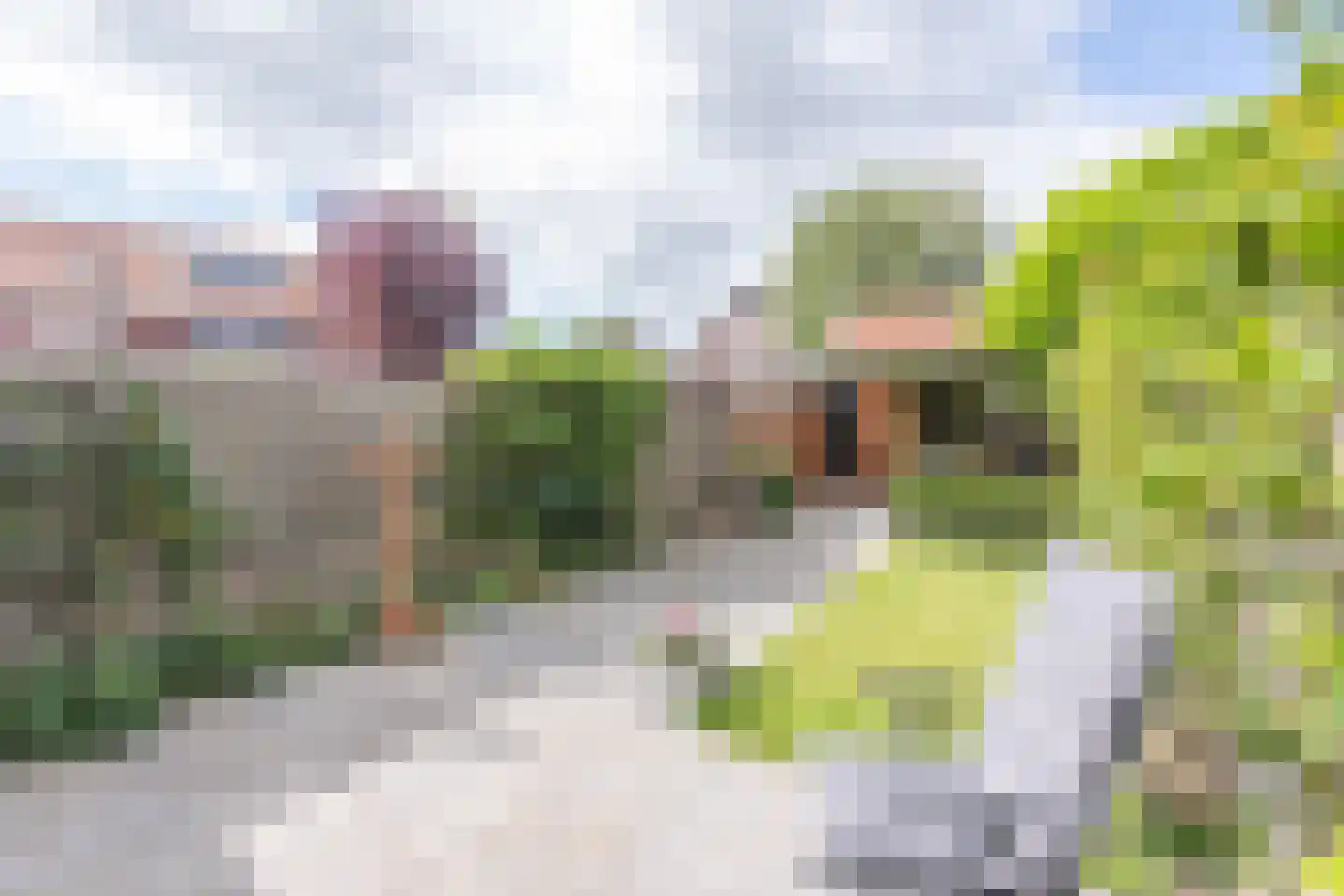 Poelenburg 18 Obdam thumbnail 43