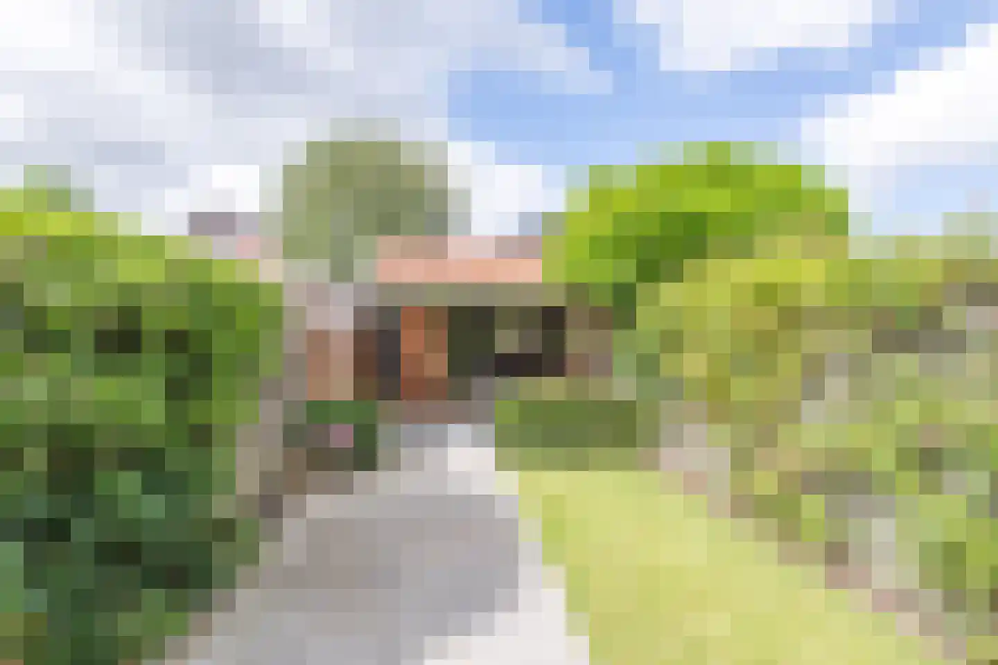 Poelenburg 18 Obdam thumbnail 44