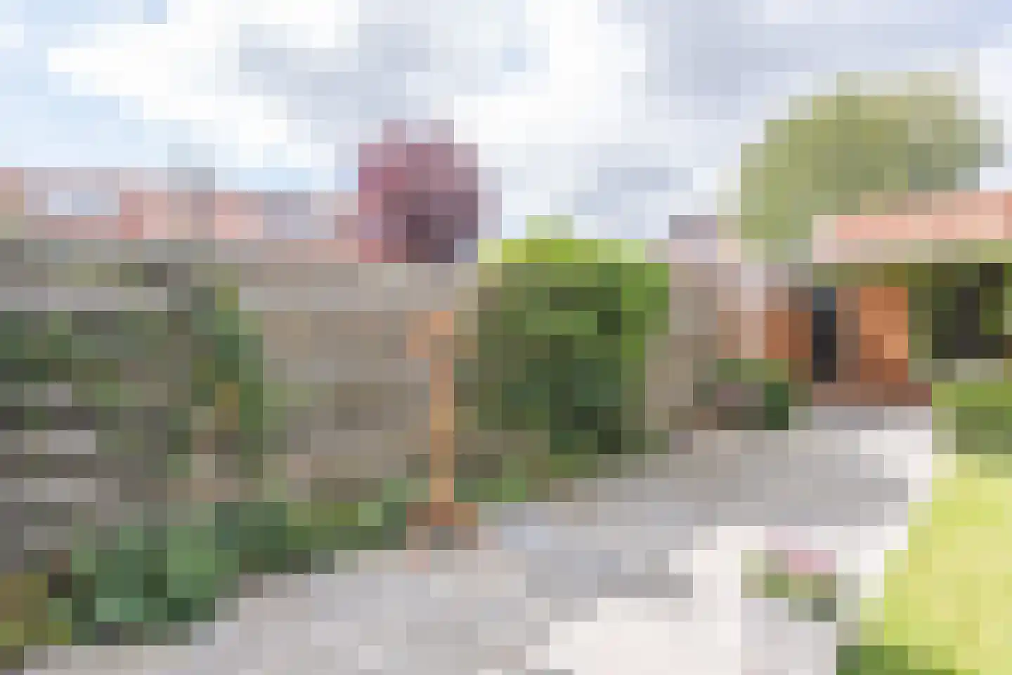 Poelenburg 18 Obdam thumbnail 45