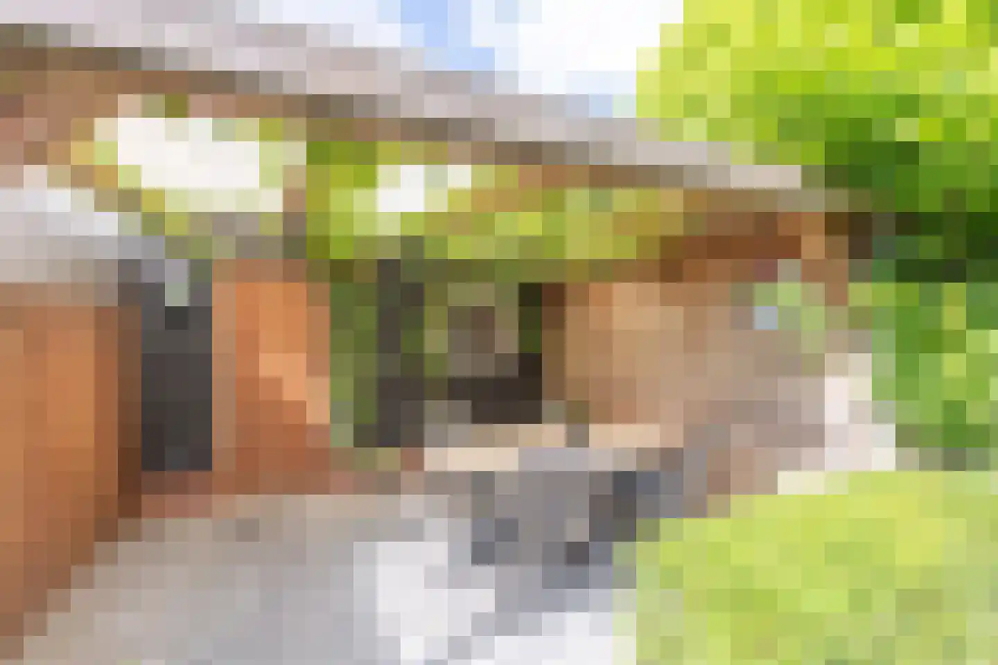Poelenburg 18 Obdam thumbnail 46