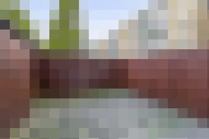 Poelenburg 418 Zaandam thumbnail 18