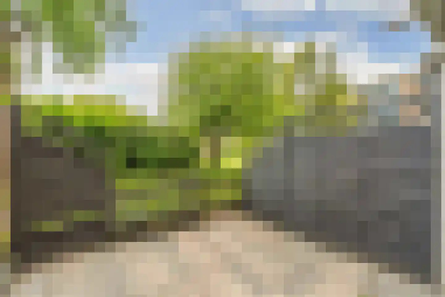Poelenburg 431 Zaandam thumbnail 10