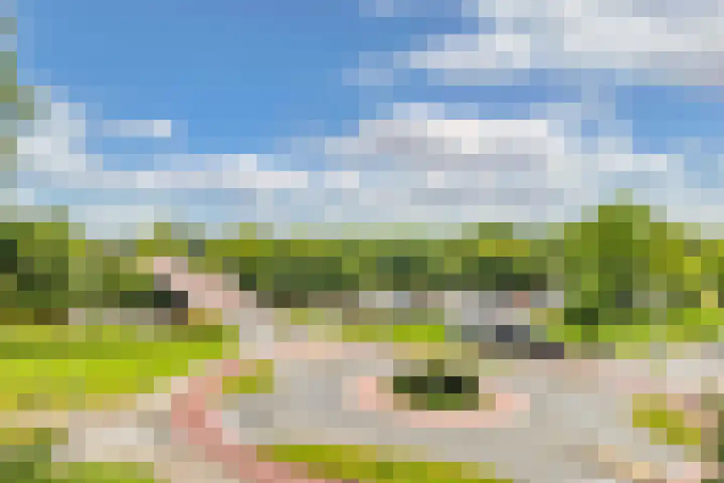 Poelenburg 431 Zaandam thumbnail 14