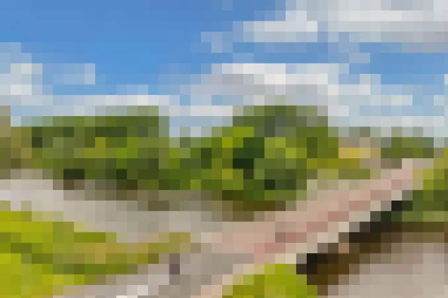 Poelenburg 431 Zaandam thumbnail 16