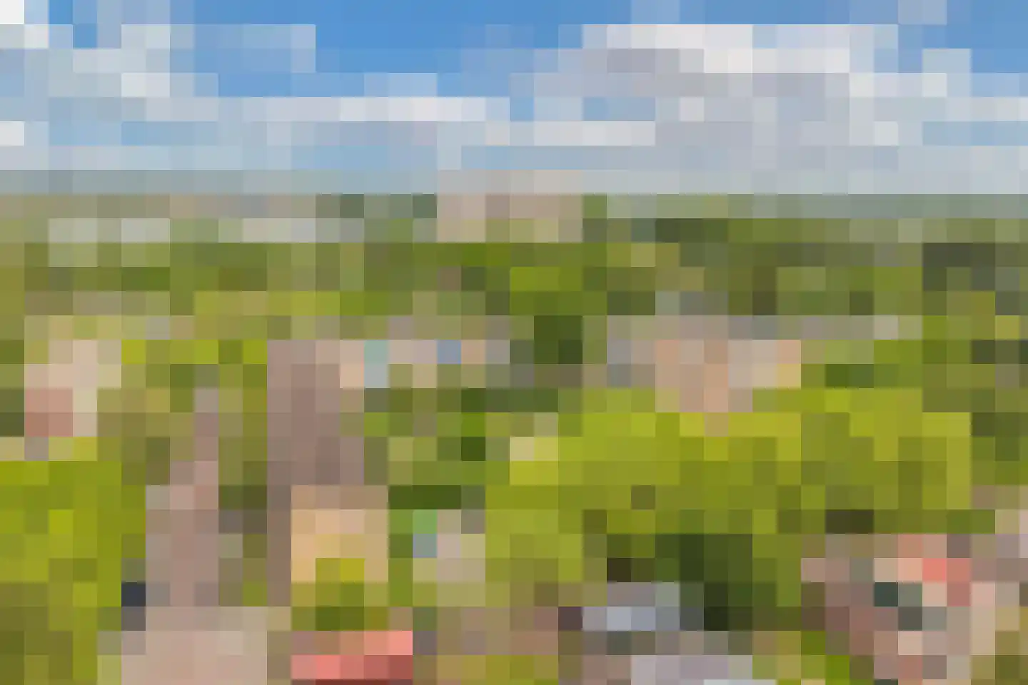 Poelenburg 431 Zaandam thumbnail 41