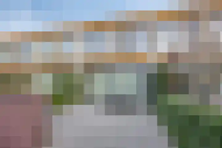 Poelenburg 9 Rotterdam thumbnail 24