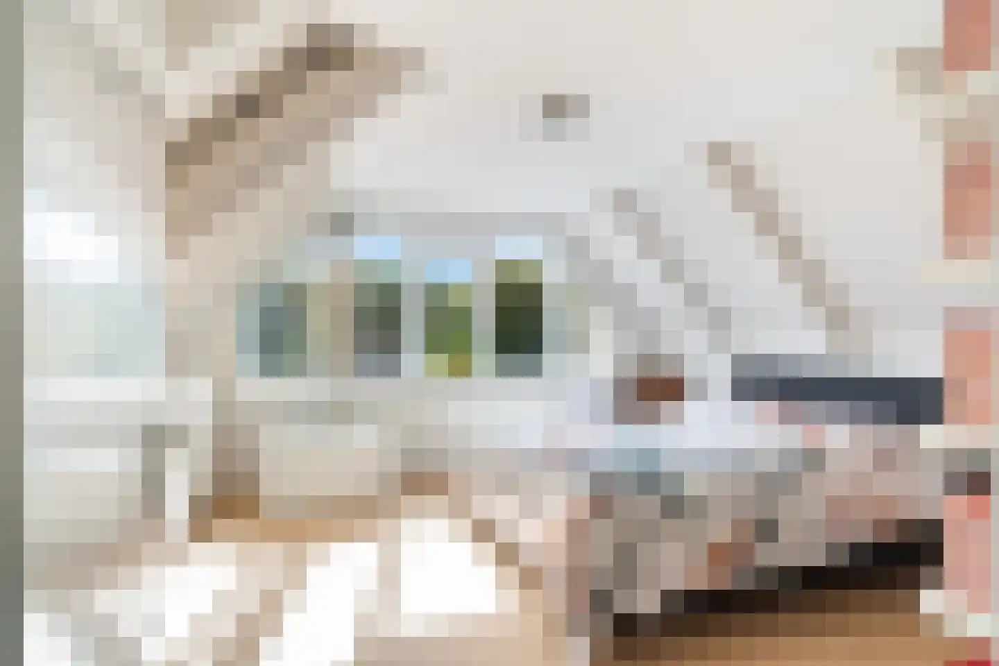 Poelenburgh 20 Monster thumbnail 40