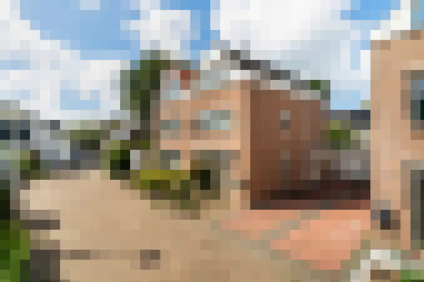 Poelenburgh 20 Monster thumbnail 48