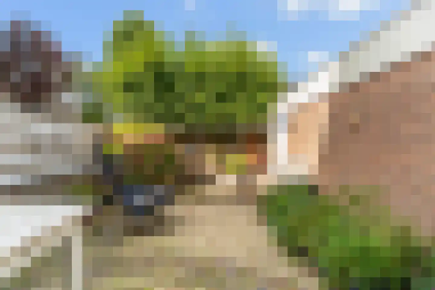 Poelenburgh 20 Monster thumbnail 5