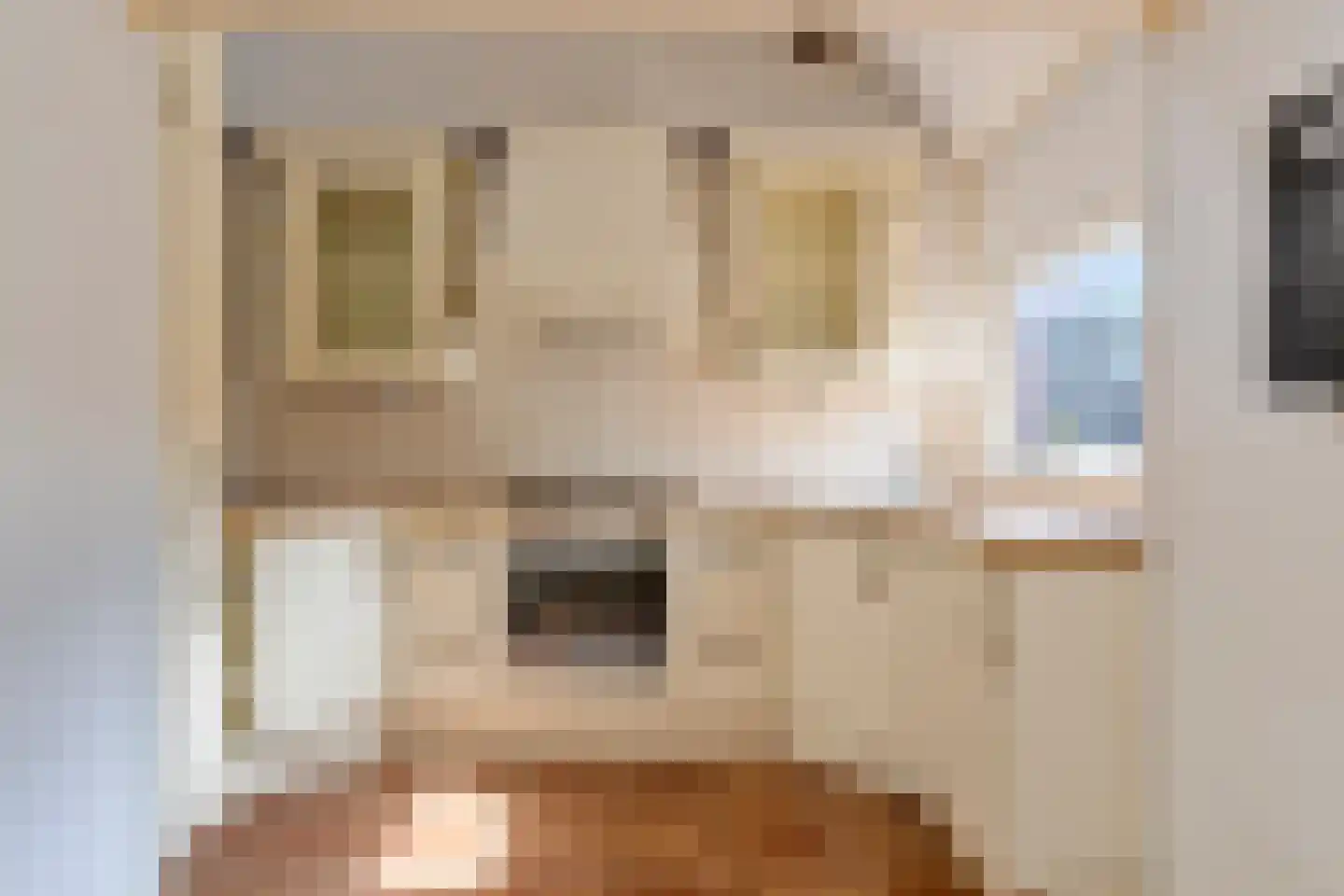 Poelendaeleweg 29 Middelburg thumbnail 8