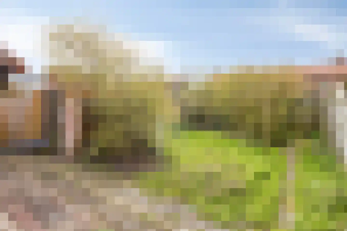 Poelendaeleweg 41 Middelburg thumbnail 20